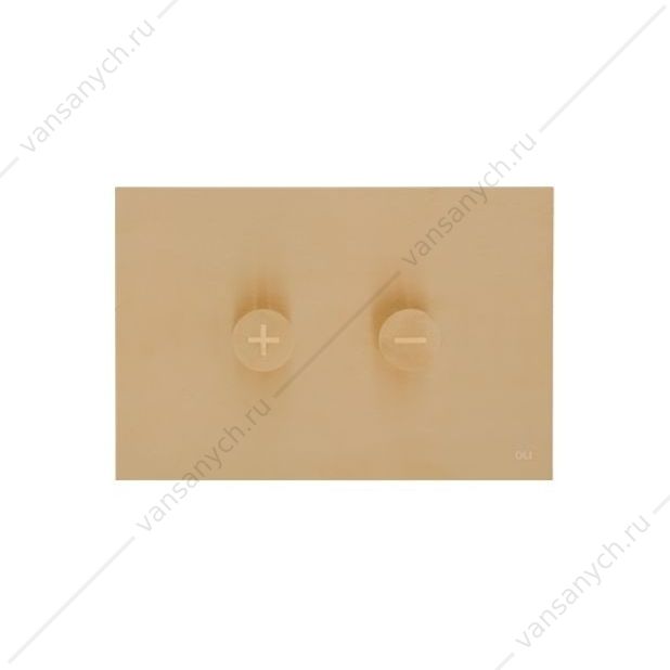 УТ000033773   Клавиша смыва пневматическая двойная золото матовое OLI Trumpet 878783  Oli (Португалия) купить в Тюмени (Ван Саныч™)